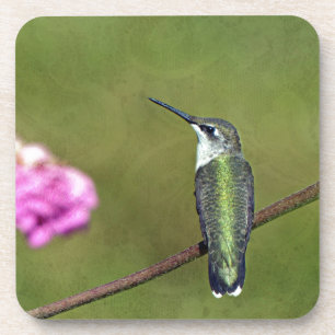 Hummingbird and Zinnia Coaster
