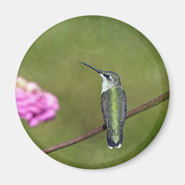 Hummingbird and Zinnia Magnet (Front)