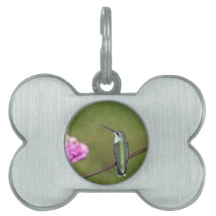 Hummingbird and Zinnia Pet Name Tag