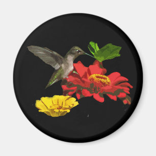 Hummingbird and Zinnias Magnet