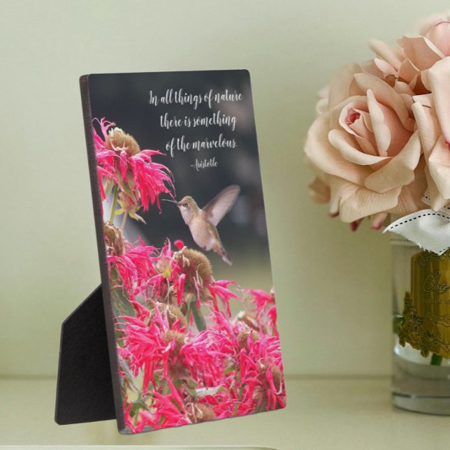 Hummingbird Aristotle Philosophical Quote Plaque (In Situ Angled)
