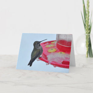 Hummingbird at Frozen Feeder - Frameable Art Cards