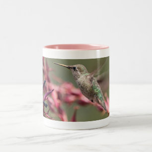 Hummingbird at Huntington Library Two-Tone Coffee Mug