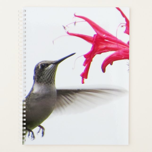 Hummingbird at Monarda Planner (Front)
