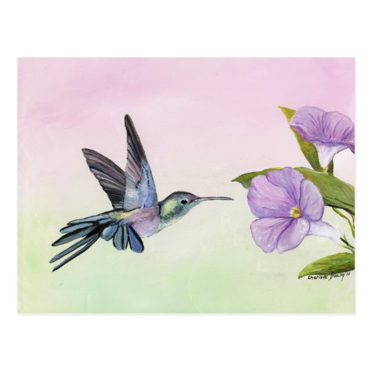 Hummingbird at Morning Glory bird art Postcard