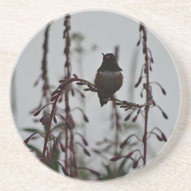 Hummingbird at rest coaster (Front)