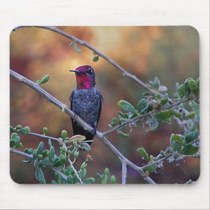 Hummingbird at sunset mouse mat