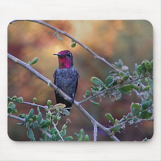 Hummingbird at sunset  mouse mat (Front)