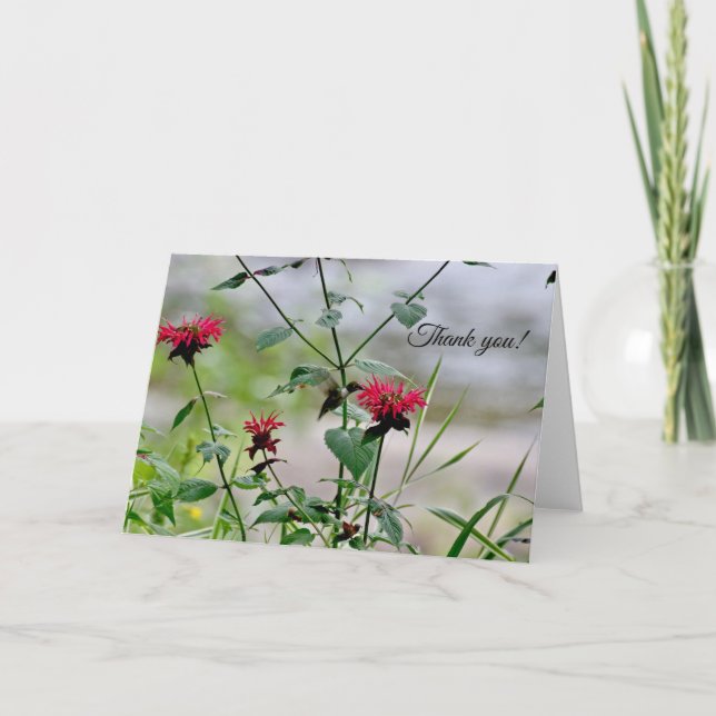 Hummingbird at the Flowers - ADK Thank You Card (Front)