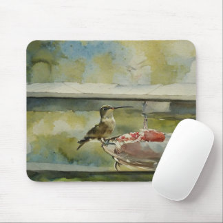 Hummingbird at the Window Mousepad