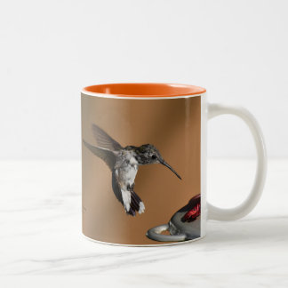 Hummingbird Baby 11 oz Mug