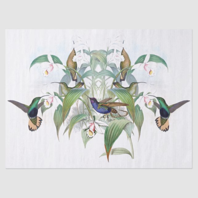 Hummingbird Bird Animal Orchid Floral Tissue Paper (Front)