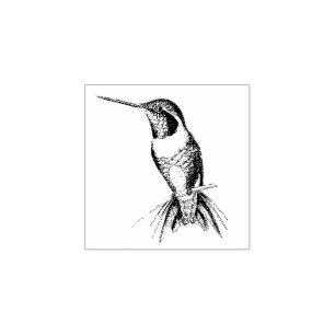 Hummingbird Bird Animal Wildlife Wood Stamp