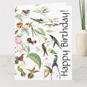 Hummingbird Bird Flower Floral B'day Greeting Card