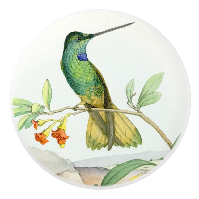 Hummingbird Bird Flower Floral Garden Knob (Front)