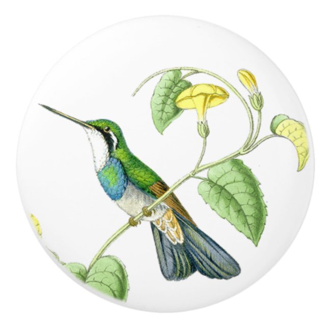 Hummingbird Bird Flower Floral Garden Knob (Front)