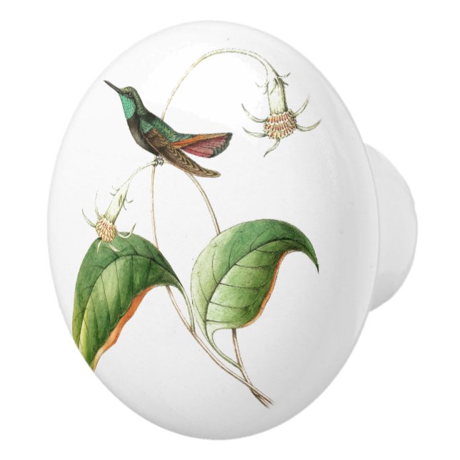 Hummingbird Bird Flower Floral Garden Knob (Right)