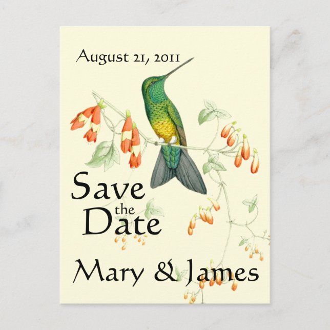 Hummingbird Bird Flower Floral Save the Date Announcement Postcard (Front)