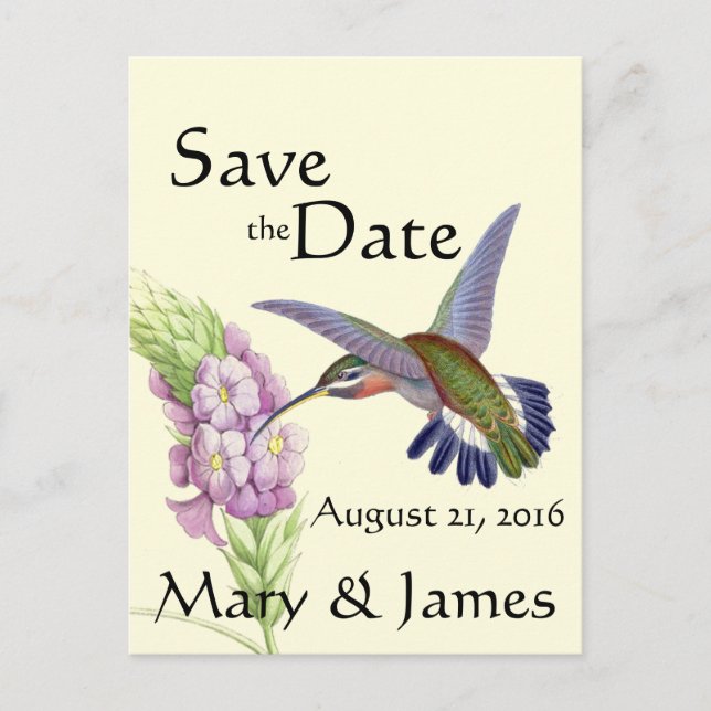 Hummingbird Bird Flower Floral Save the Date Announcement Postcard (Front)
