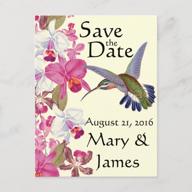 Hummingbird Bird Flowers Orchid Floral Save Date Announcement Postcard (Front)