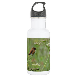 Hummingbird: Bird in Flowers 532 Ml Water Bottle