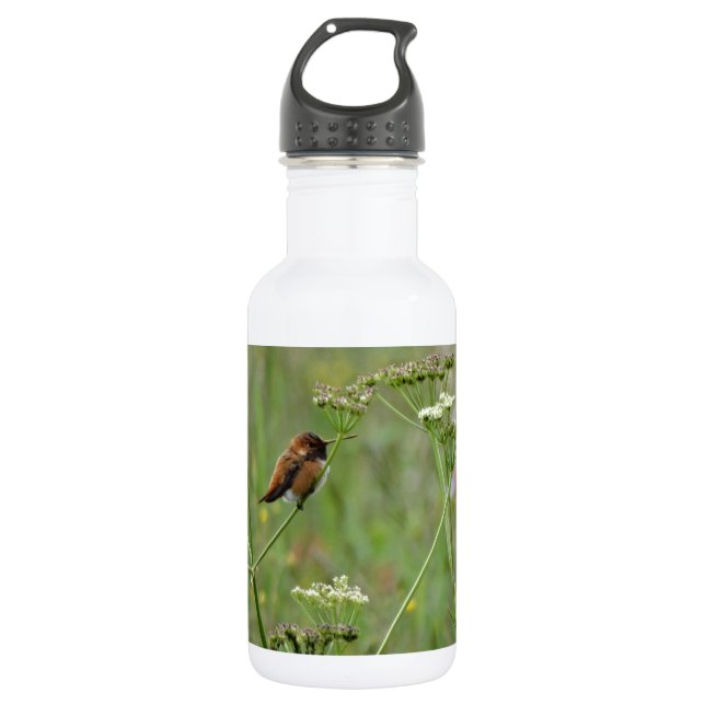 Hummingbird: Bird in Flowers 532 Ml Water Bottle (Front)