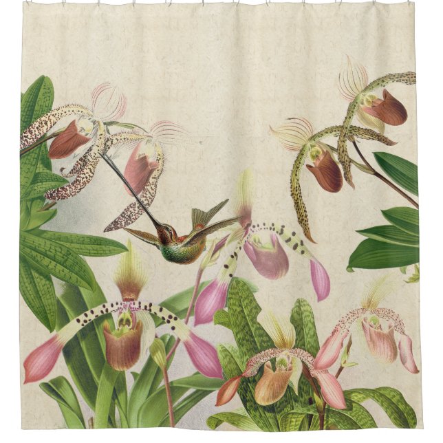Hummingbird Bird Ladys Slipper Orchid Flowers Shower Curtain (Front)