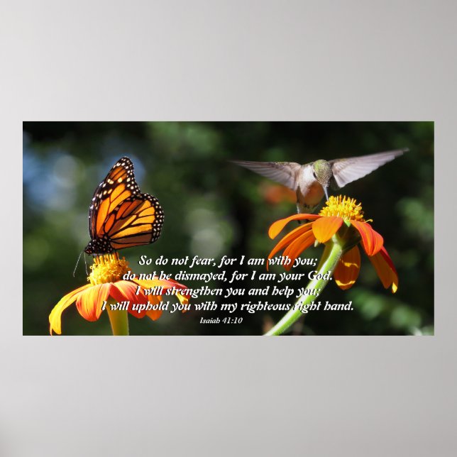 Hummingbird Bird Monarch Butterfly Flower Poster (Front)