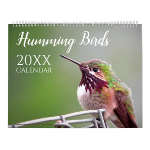 Hummingbird Bird Nature Wildlife Wall Calendar
