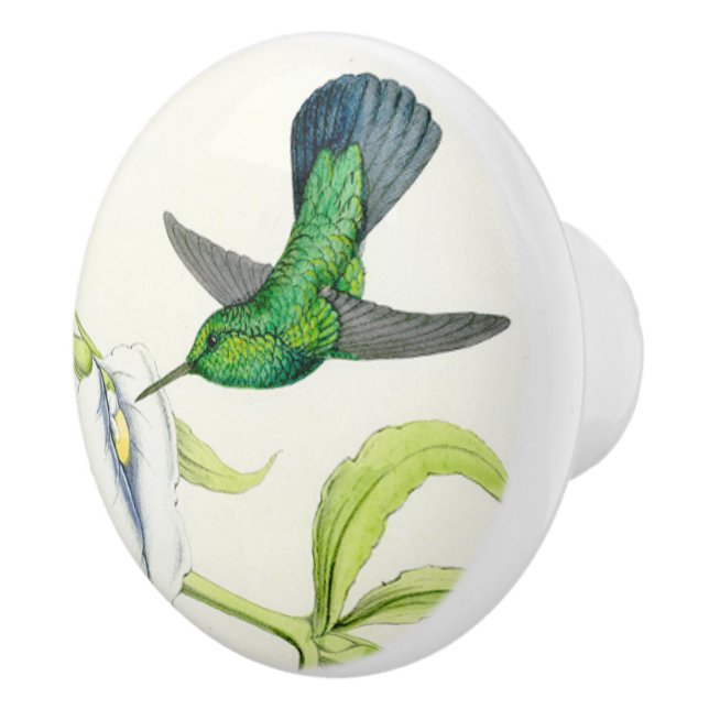 Hummingbird Bird Orchid Flower Floral Garden Knob (Right)