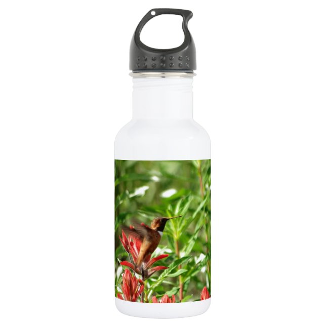 Hummingbird  bird red flower 532 ml water bottle (Front)