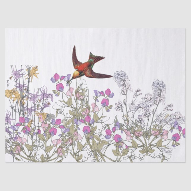 Hummingbird Bird Sweet Pea Flowers Tissue Paper (Front)
