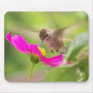 Hummingbird Bird Wildlife Animal Floral Mouse Mat