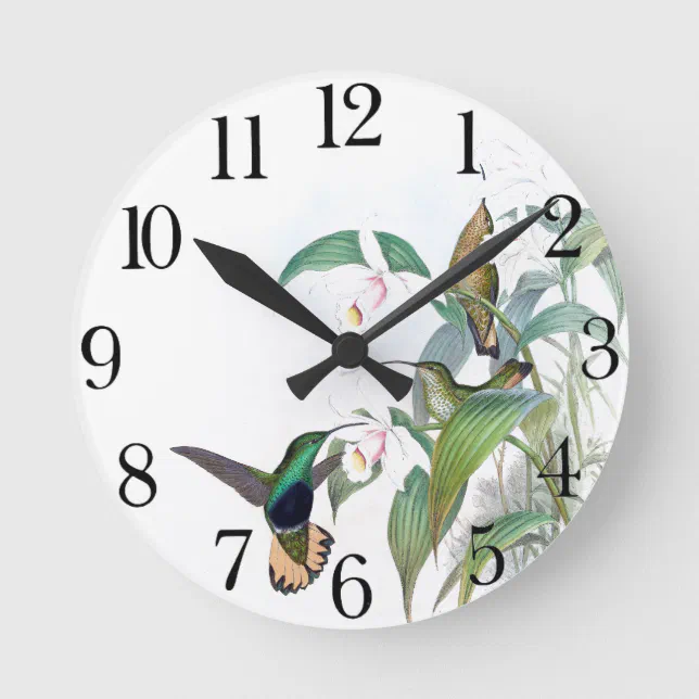 Hummingbird Bird Wildlife Animal Flower Wall Clock | Zazzle