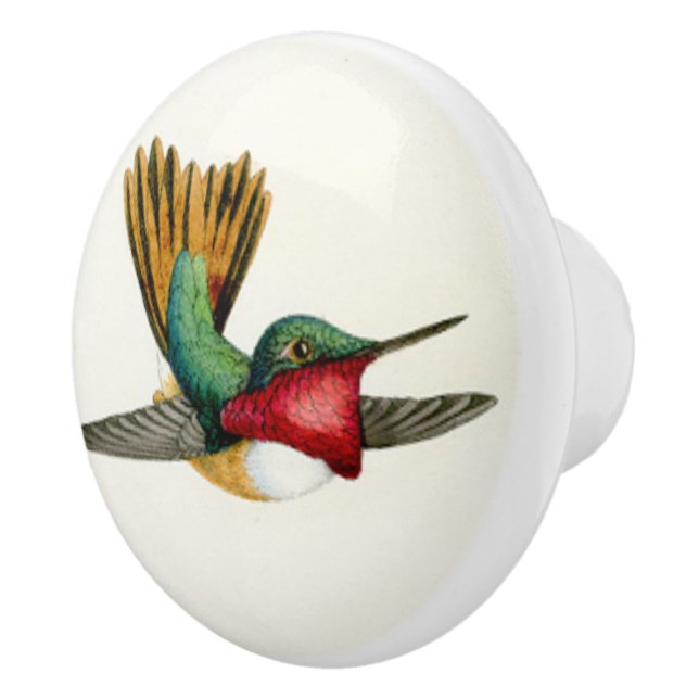 Hummingbird Bird Wildlife Animal Knob (Right)