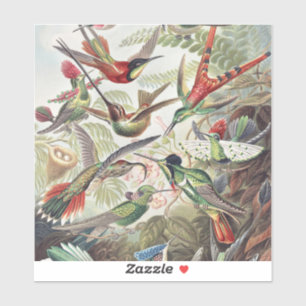 Hummingbird Bird Wildlife Classic Painting