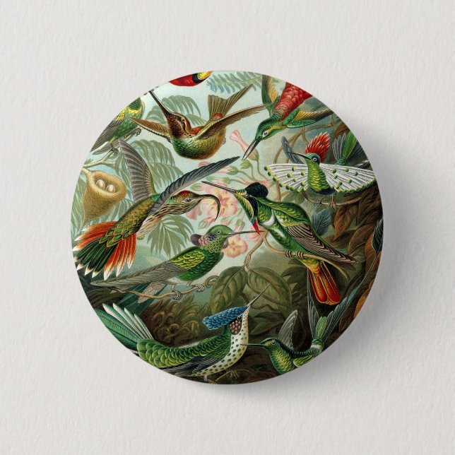 hummingbird bird wildlife classic painting 6 cm round badge (Front)