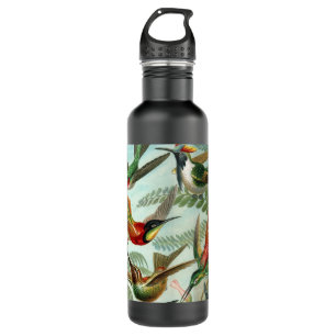 hummingbird bird wildlife classic painting 710 ml water bottle