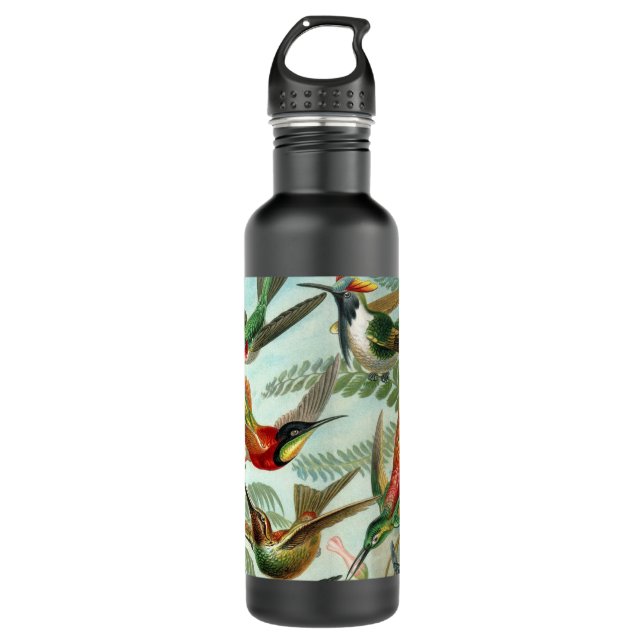 hummingbird bird wildlife classic painting 710 ml water bottle (Front)