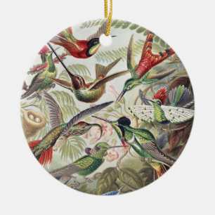 Hummingbird Bird Wildlife Classic Painting Ceramic Tree Decoration