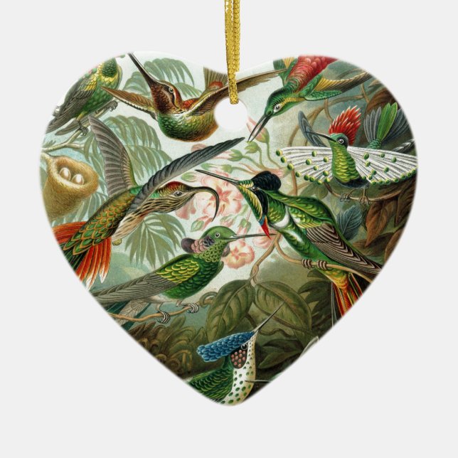 hummingbird bird wildlife classic painting ceramic tree decoration (Front)