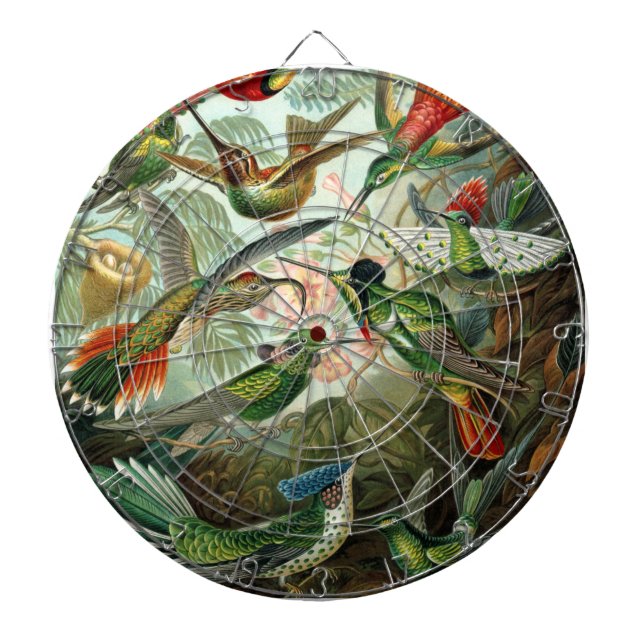 hummingbird bird wildlife classic painting dartboard (Front)