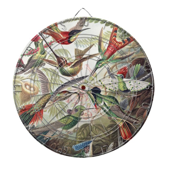 Hummingbird Bird Wildlife Classic Painting Dartboard (Front)