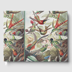 Hummingbird Bird Wildlife Classic Painting Guest Book