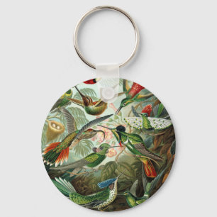 hummingbird bird wildlife classic painting key ring