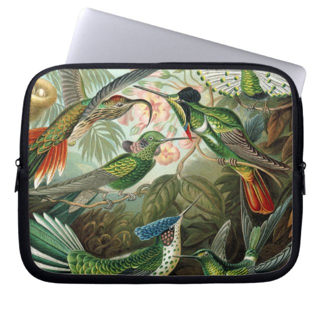 hummingbird bird wildlife classic painting laptop sleeve (Front)