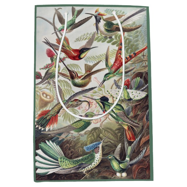 Hummingbird Bird Wildlife Classic Painting Medium Gift Bag (Front)