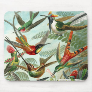 hummingbird bird wildlife classic painting mouse mat