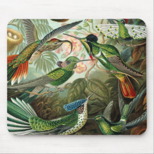 hummingbird bird wildlife classic painting mouse mat