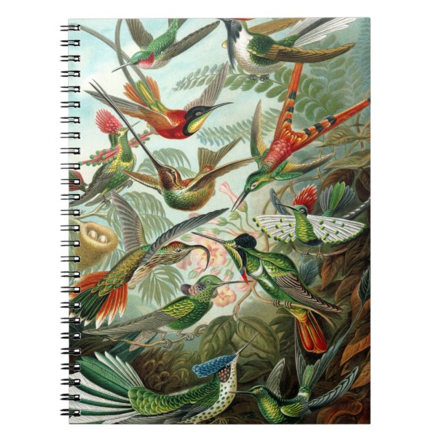 hummingbird bird wildlife classic painting notebook (Front)
